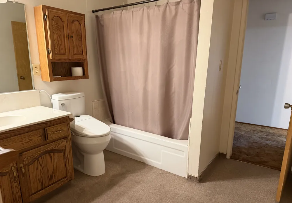Bathroom before, original photo